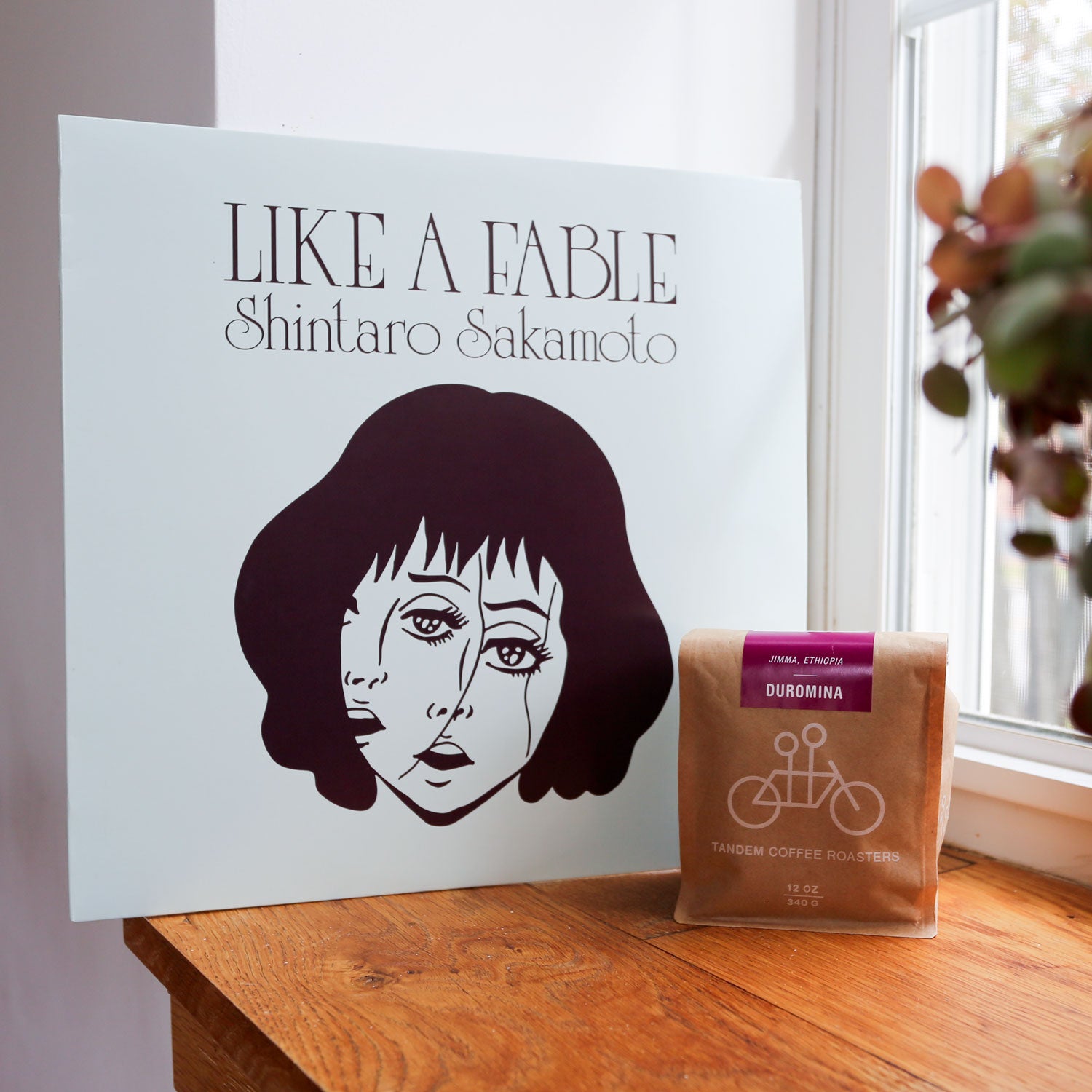 レコード like a fable SHINTARO SAKAMOTO
