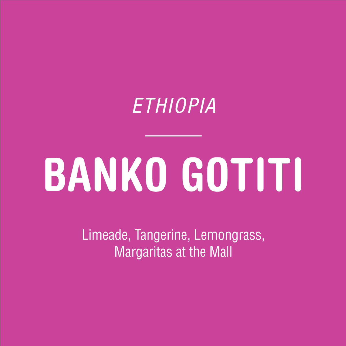 Text on a pink background reads: Banko Gotiti - Ethiopia by Tandem Coffee Roasters. Ethiopian coffee from Gedeb’s Gotiti station. Tasting notes: limeade, tangerine, lemongrass, margaritas at the mall.