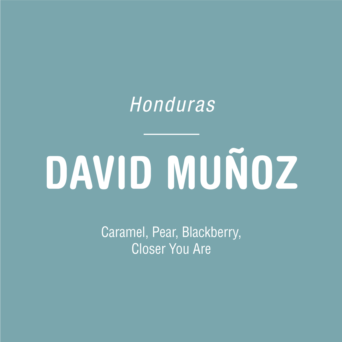 Light blue background with white text: Tandem Coffee Roasters above DAVID MUÑOZ - HONDURAS in bold, and below, tasting notes of caramel, pear & blackberry—showcasing exceptional Pacas coffee from Honduras’ famed Santa Barbara region.