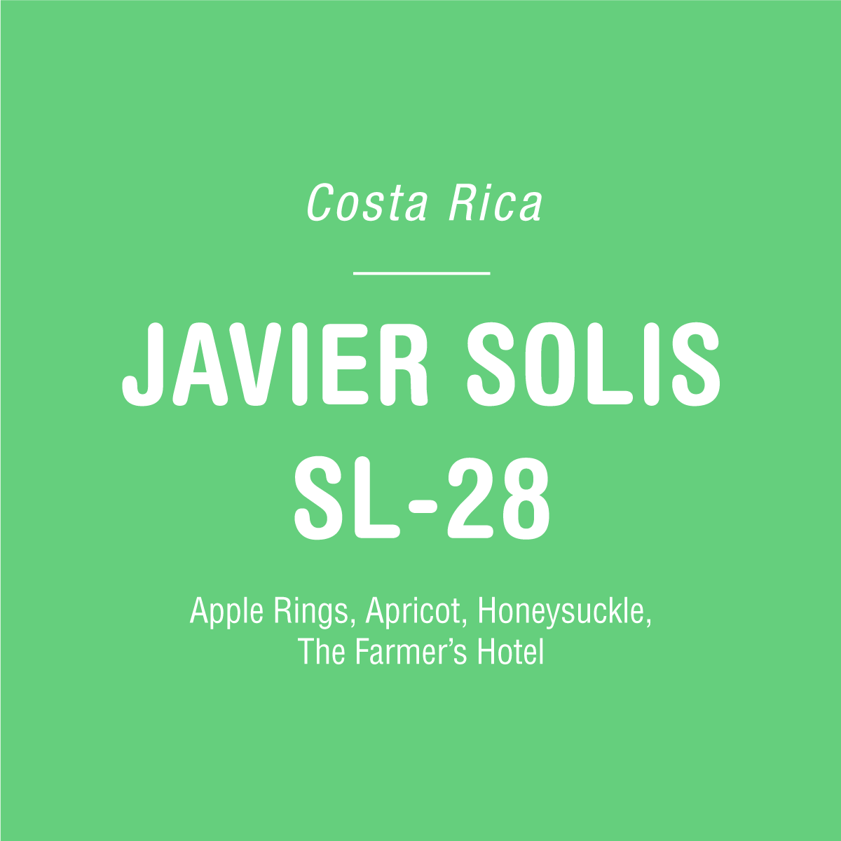 Green background with white text: Javier Solis SL-28 - Costa Rica by Tandem Coffee Roasters. Grown in El Cedral Tarrazu. Tasting notes: Apple Rings, Apricot, Honeysuckle. Served at The Farmer’s Hotel.