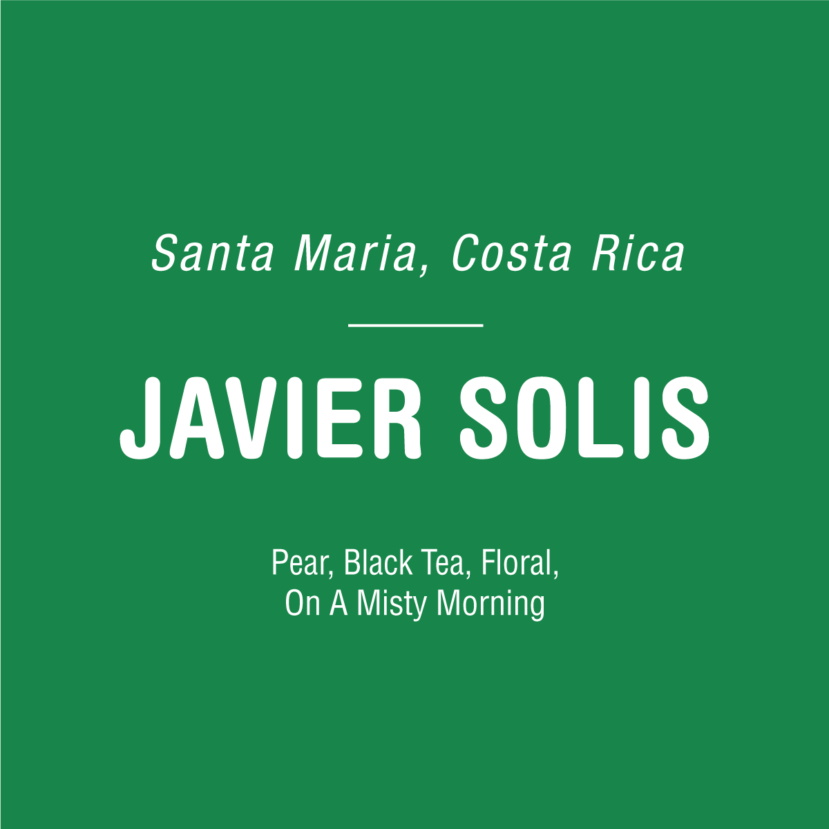 White text on green reads: Tandem Coffee Roasters — Javier Solis Honey, Costa Rica. Pear, black tea, floral notes—Catuai Honey from Tarrazu. On A Misty Morning.