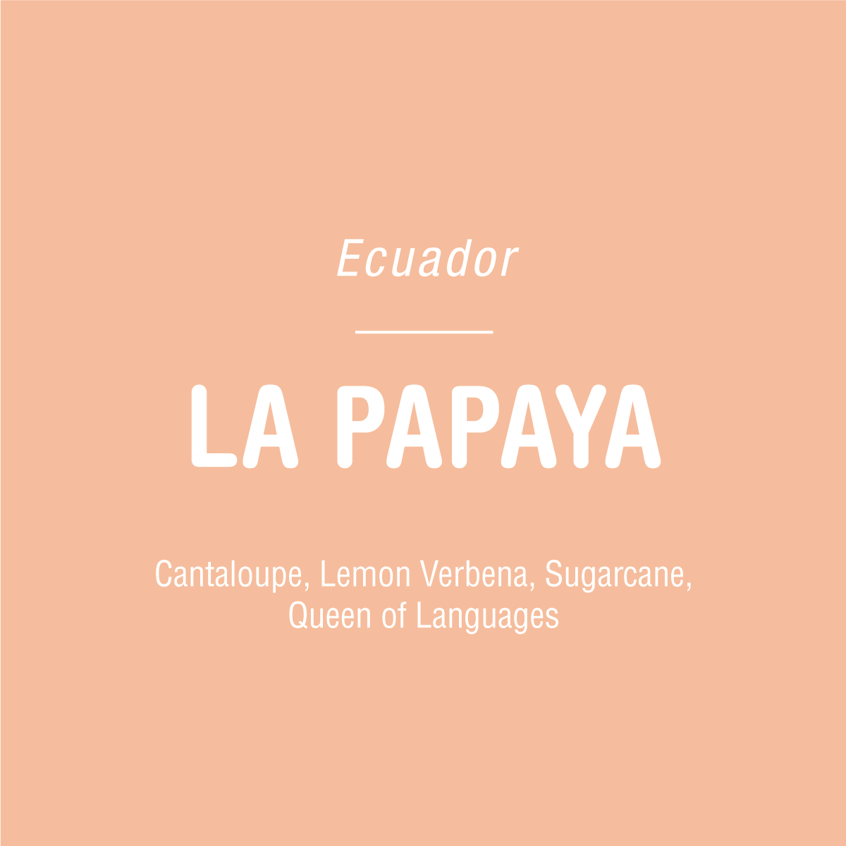 Text on a peach background reads: "Ecuador. La Papaya Sidra - Ecuador. Cantaloupe, Lemon Verbena, Sugarcane—crafted from Juan Peña’s exceptional coffee. Tandem Coffee Roasters.