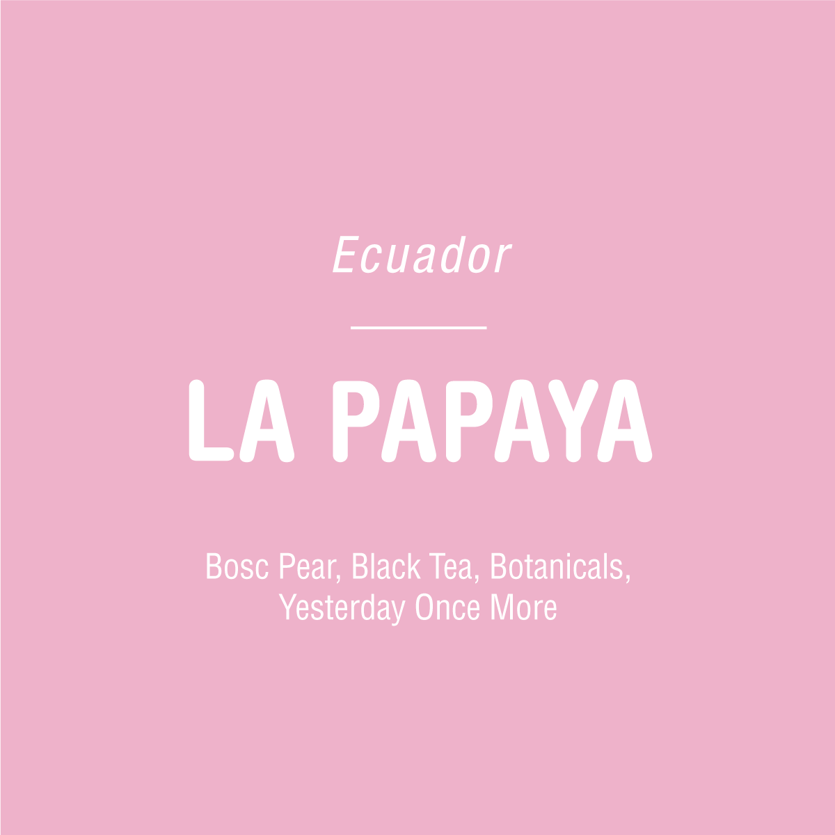 Pink background with white text: La Papaya Typica Mejorado - Ecuador by Tandem Coffee Roasters. Notes of Bosc Pear, Black Tea, Botanicals. Typica Mejorado variety from Hacienda La Papaya. Yesterday Once More.