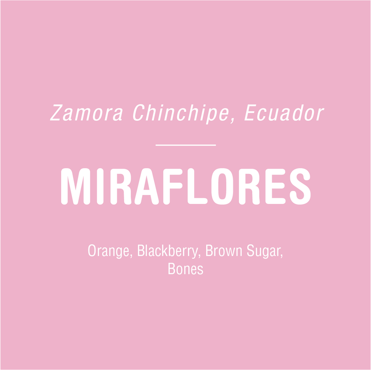 Graphic image featuring text "Miraflores - Ecuador - farm blend coffee" with flavor profile "orange, blackberry, brown sugar" on a pink background from Tandem Coffee Roasters.