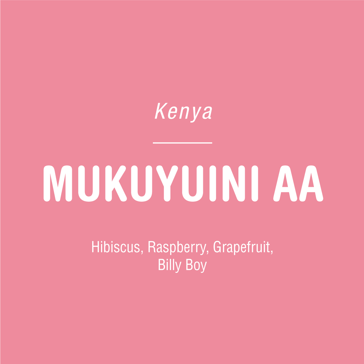Pink background with white text: Tandem Coffee Roasters Mukuyuini AA - Kenya—notes of hibiscus, raspberry, grapefruit, and billy boy. Sourced from smallholder farmers and processed at Mukuyuini Factory. A standout Kenyan coffee.