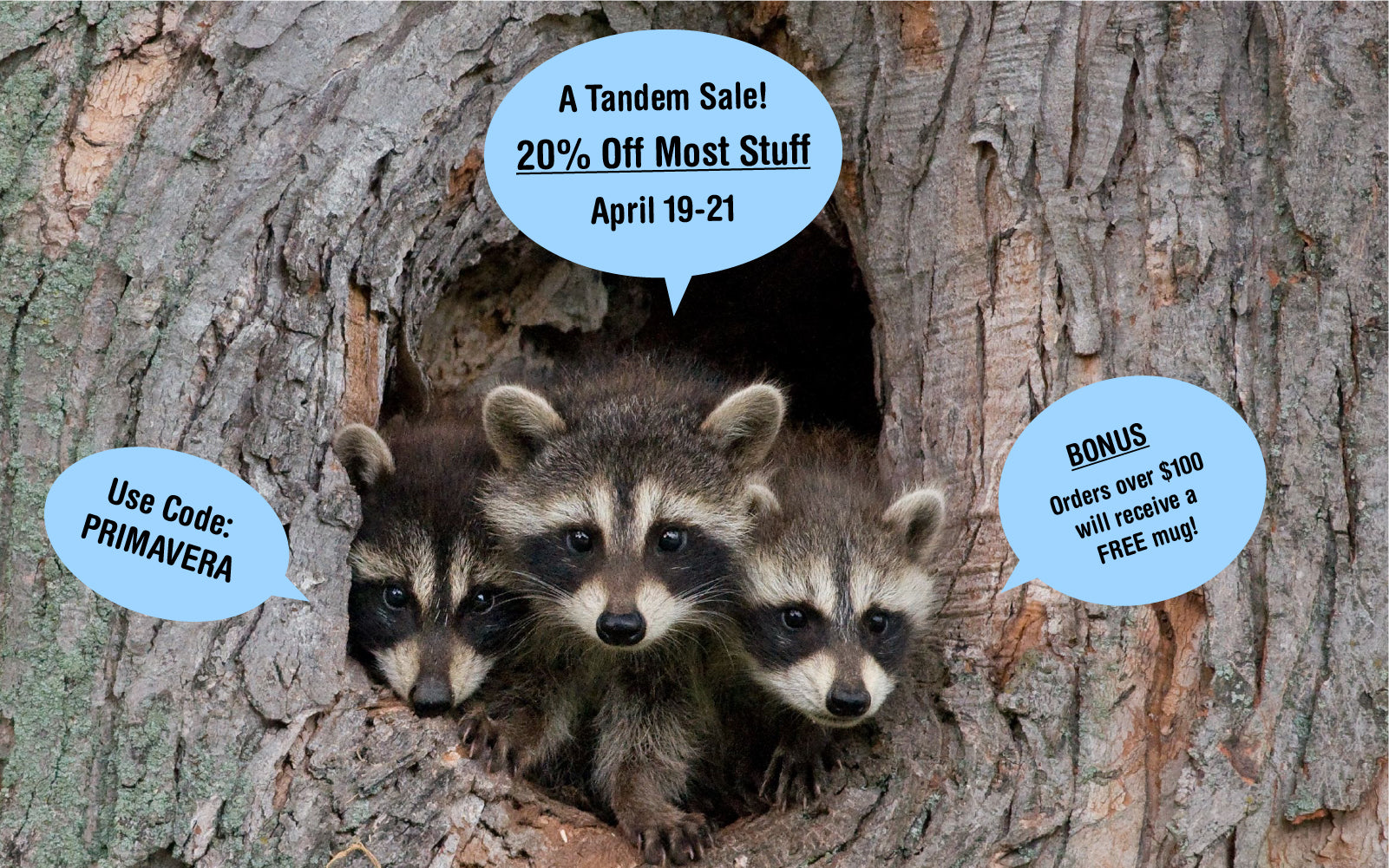 Four raccoons peeking out from a tree hollow with speech bubbles advertising a sale, including details like dates, discounts, and a bonus item offer.