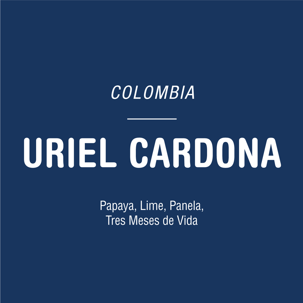 Dark blue background with white text: TANDEM COFFEE ROASTERS Uriel Cardona - Colombia, Chiroso coffee with notes of papaya, lime, and panela. Tres Meses de Vida.