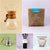 Chemex Starter Kit