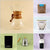 Chemex Starter Kit
