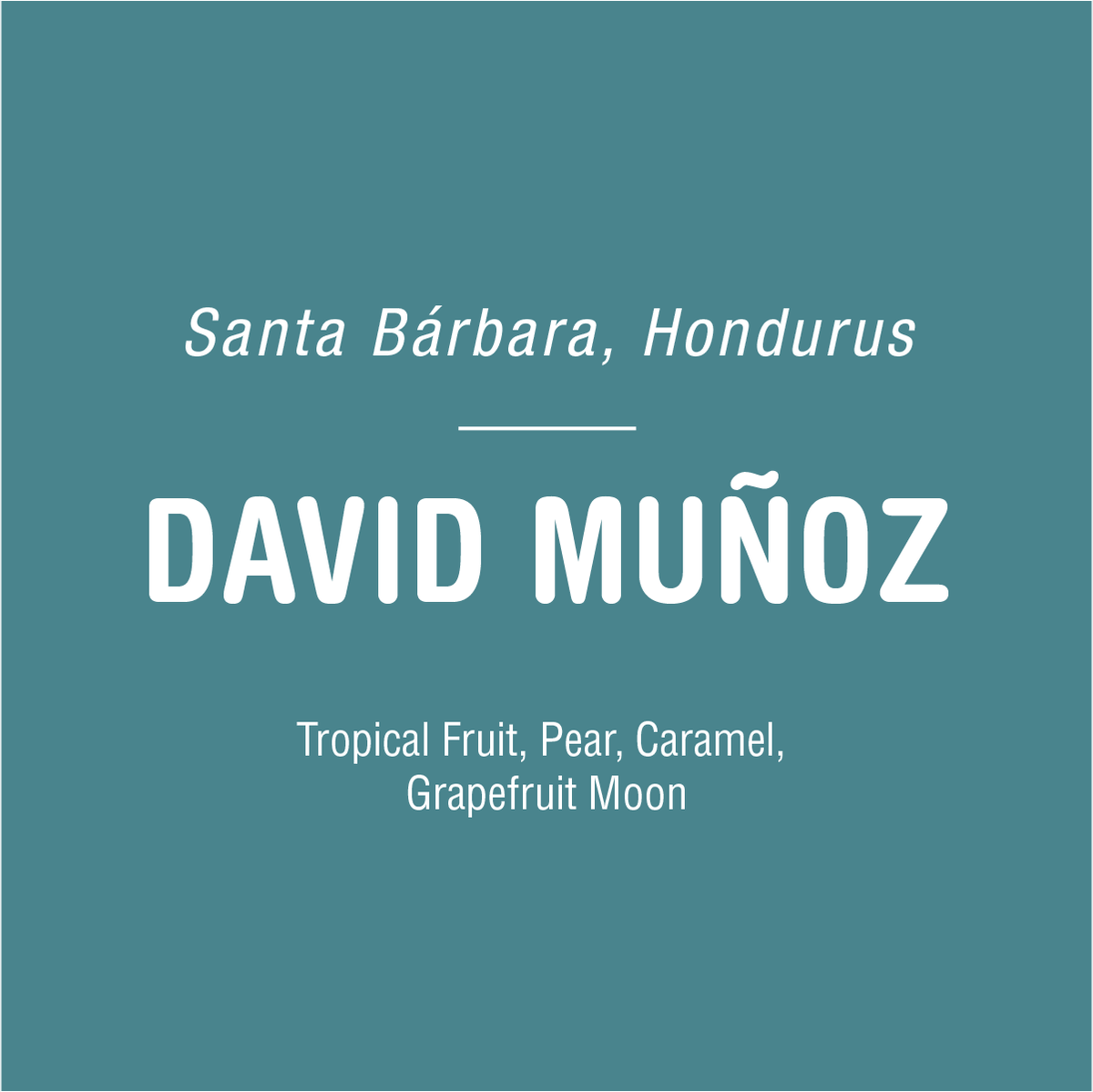 David Muñoz - Honduras