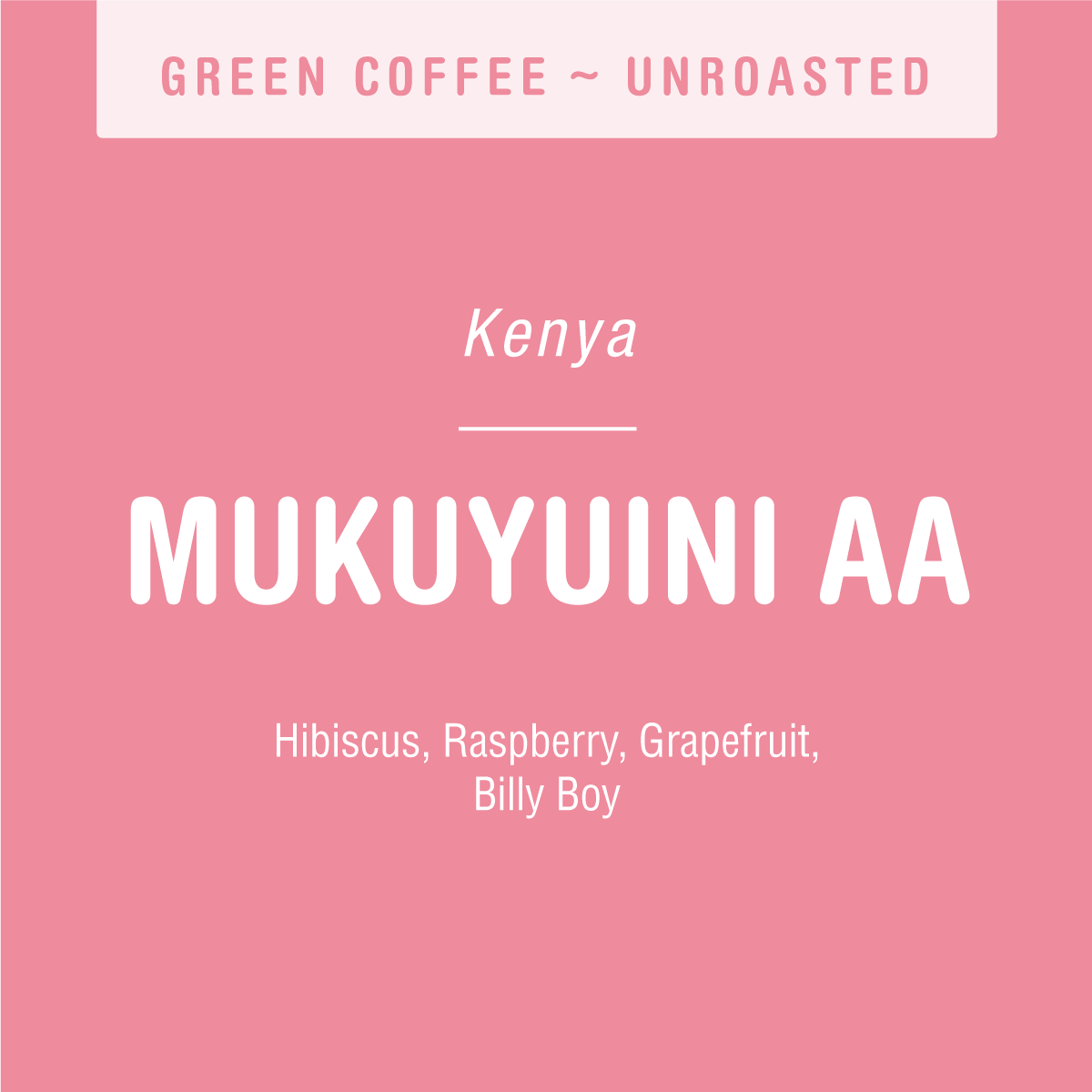 Pink label featuring tasting notes of hibiscus, raspberry, grapefruit, and Billy Boy for Tandem Coffee Roasters Mukuyuini AA (GREEN) unroasted Kenyan coffee from the Mukuyuini Factory.