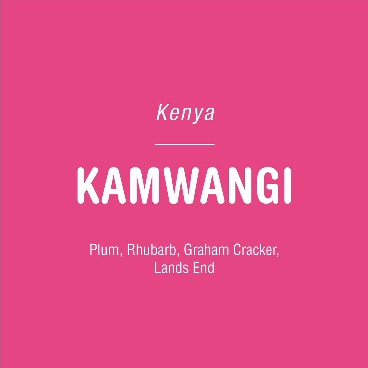 Pink background with white text: Tandem Coffee Roasters at the top, Kamwangi - Kenya in large font center, and Plum, Rhubarb, Graham Cracker, Lands End—highlighting vibrant Kamwangi - Kenya coffee at the bottom.