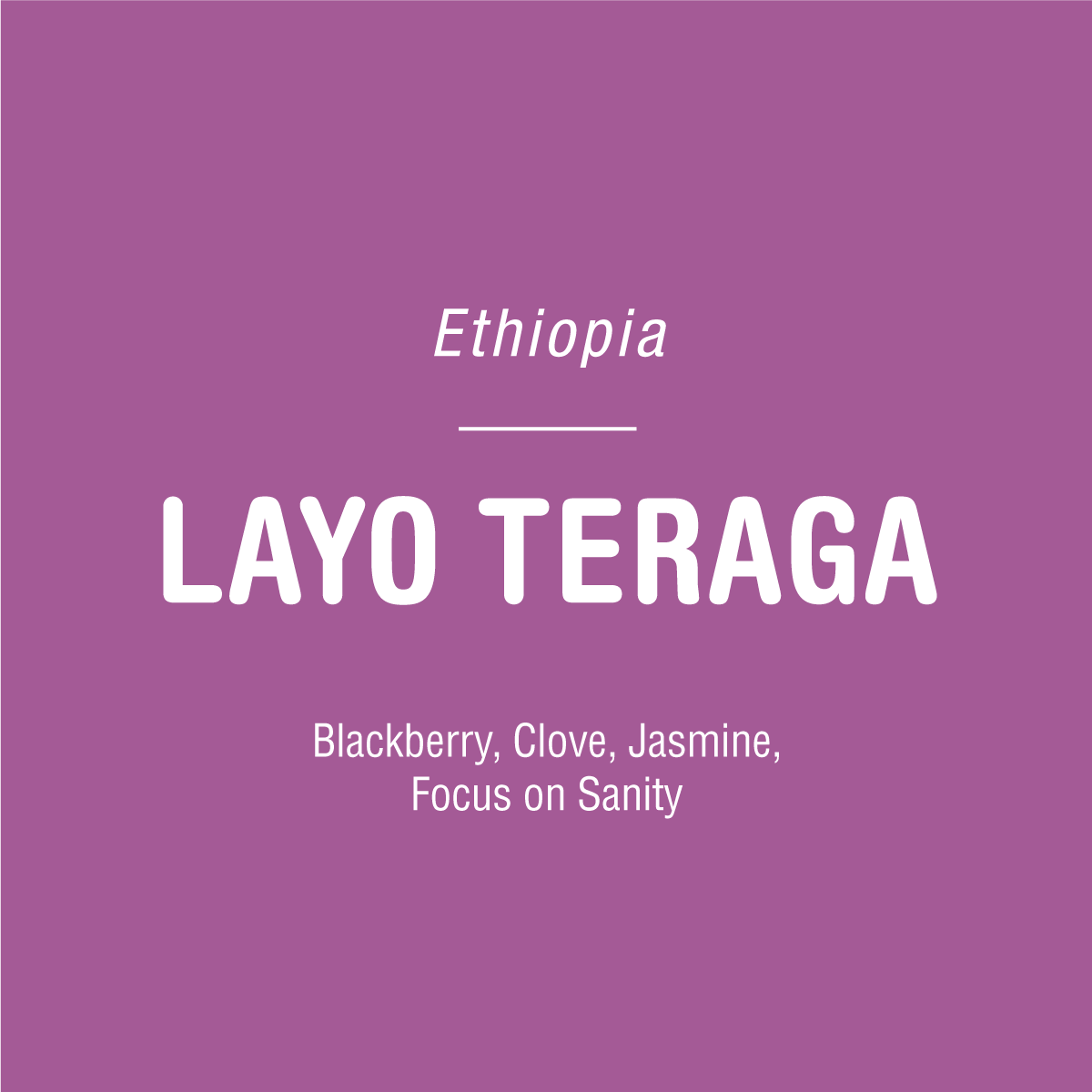 On a purple background with white text: Tandem Coffee Roasters above a line, then Layo Teraga - Ethiopia in large letters. Below: Blackberry, Clove, Jasmine—flavors from Ethiopian coffee by the Layo Teraga cooperative. Focus on Sanity.
