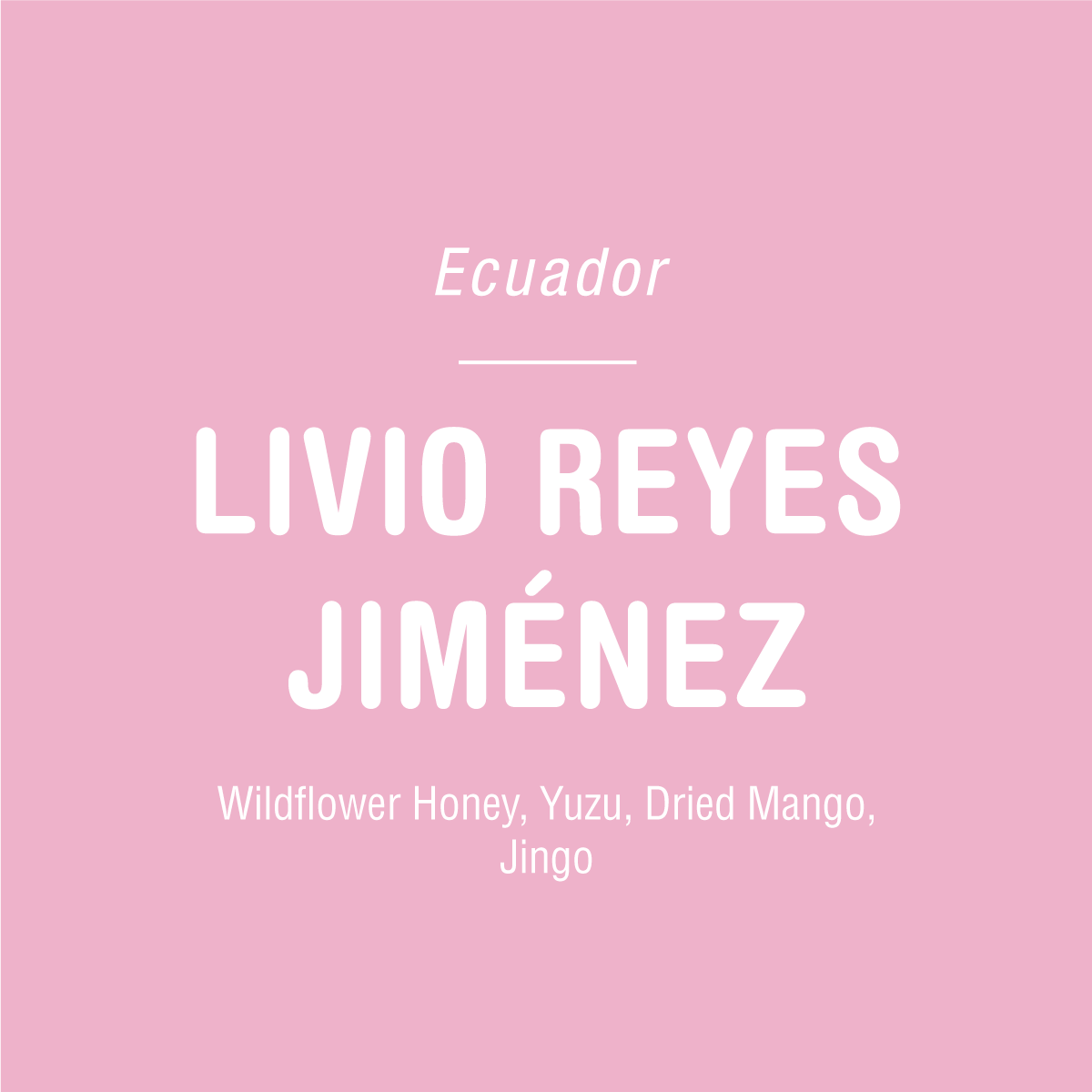 Pink background with white text: "Ecuador" at the top, "Livio Reyes Jiménez - Tandem Coffee Roasters" in large letters center, and Finca Angelita Sidra notes—Wildflower Honey, Yuzu, Dried Mango, Jingo—at the bottom.