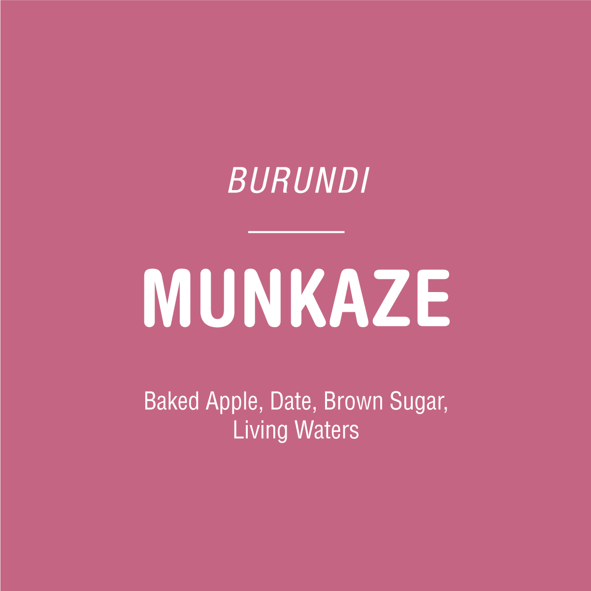 Text on a pink background reads: Munkaze - Burundi by Tandem Coffee Roasters—notes of Baked Apple, Date, Brown Sugar. This washed process coffee is sourced from passionate smallholder farmers in Kayanza’s Munkaze Hill.