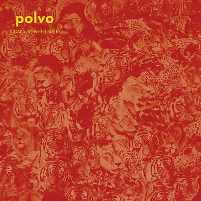Polvo - Today's Active Lifestyle