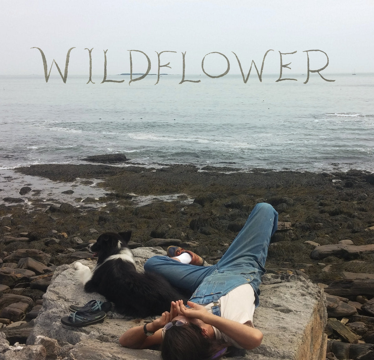 Wildflower - Part One