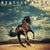 Album cover of "Bruce Springsteen - Western Stars" featuring a majestic black horse in mid-gallop with a dramatic, cloud-filled sky and rolling hills in the background.